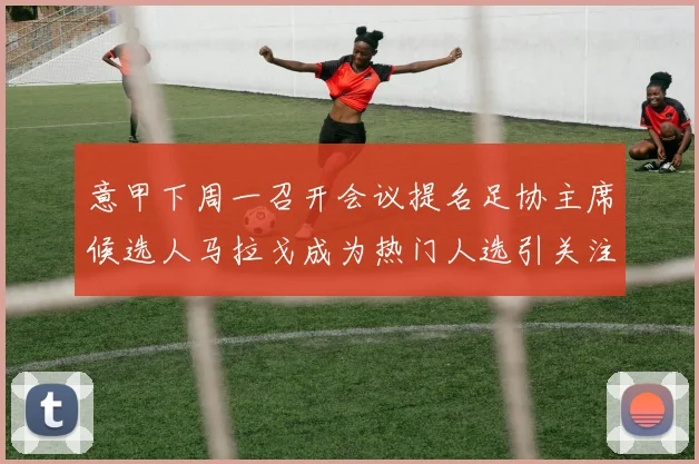 意甲下周一召开会议提名足协主席候选人马拉戈成为热门人选引关注